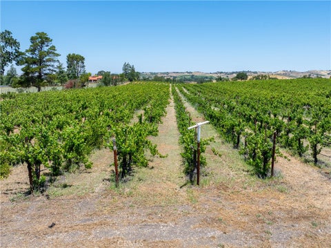 Photo of 175 White Hawk LN, Templeton, CA 93465 (MLS # NS26116303)