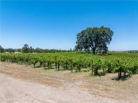 Tiny photo for 175 White Hawk LN, Templeton, CA 93465 (MLS # NS26116303)