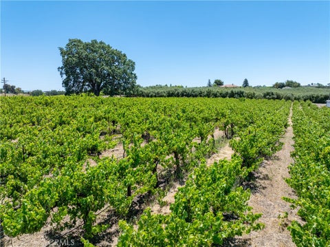 Tiny photo for 175 White Hawk LN, Templeton, CA 93465 (MLS # NS26116303)
