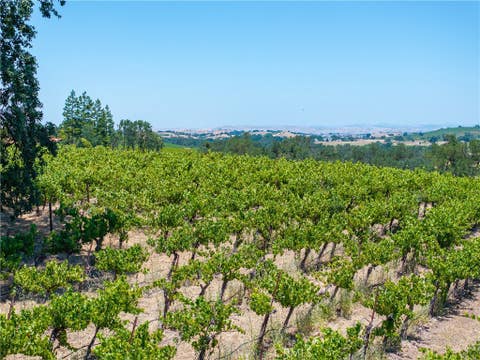 Tiny photo for 175 White Hawk LN, Templeton, CA 93465 (MLS # NS26116303)