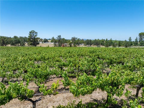 Tiny photo for 175 White Hawk LN, Templeton, CA 93465 (MLS # NS26116303)