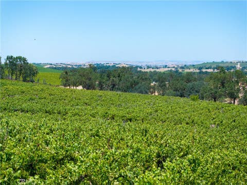 Tiny photo for 175 White Hawk LN, Templeton, CA 93465 (MLS # NS26116303)
