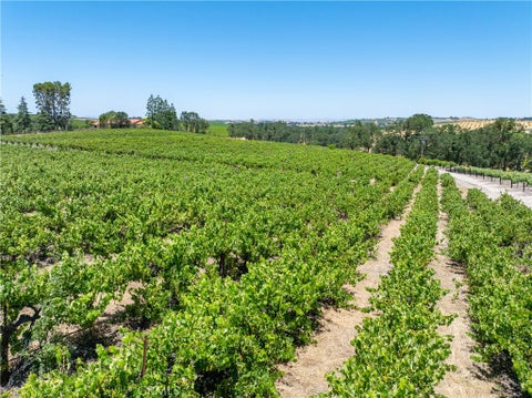 Tiny photo for 175 White Hawk LN, Templeton, CA 93465 (MLS # NS26116303)