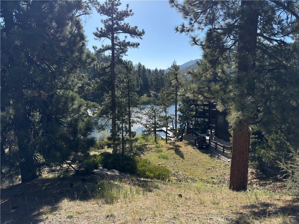 listing image 130725453253193777733
