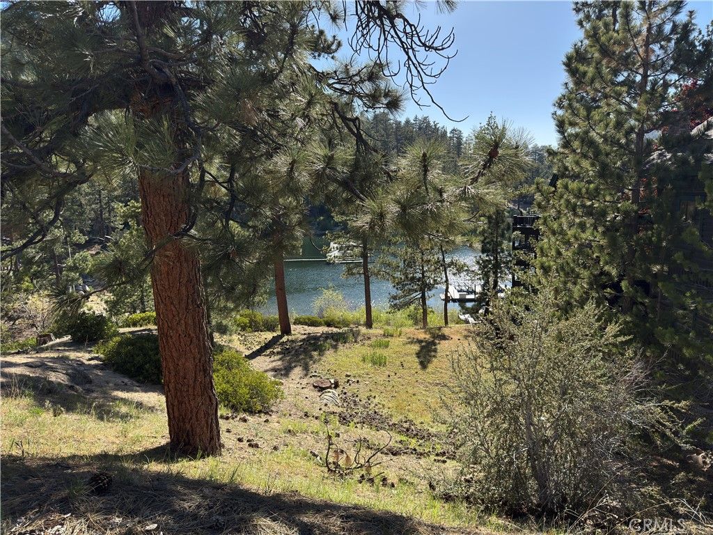 listing image 130721852670409423515