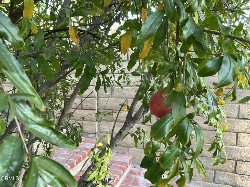 Shenandoah-483 - Residential