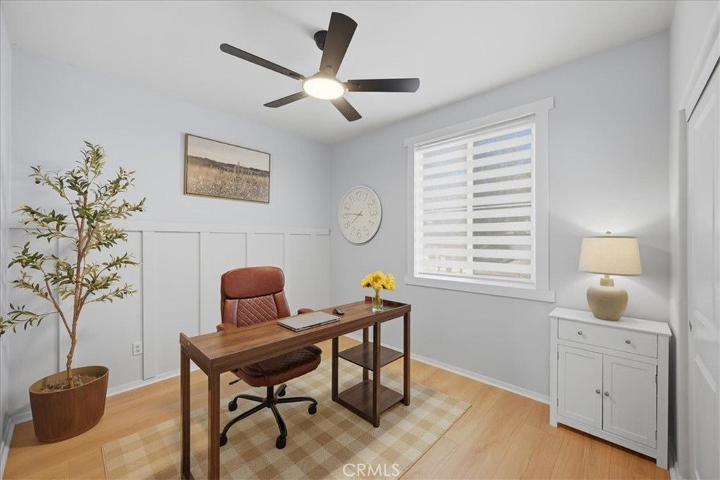 29161 Dune Primrose