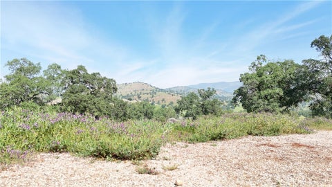 Photo of 3295 Blue Oak Dr Dr, Catheys Valley, CA 95306 (MLS # MC26232941)