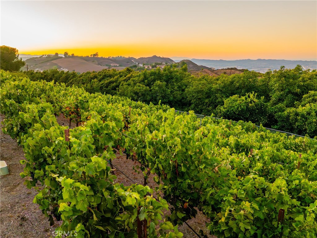 28282 Sycamore Mesa Road