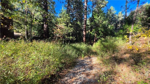 Tiny photo for 25165 Cascade Drive, Idyllwild, CA 92549 (MLS # TR26218506)