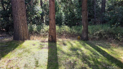 Tiny photo for 25165 Cascade Drive, Idyllwild, CA 92549 (MLS # TR26218506)