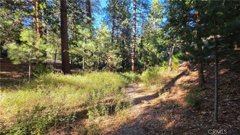 Tiny photo for 25165 Cascade Drive, Idyllwild, CA 92549 (MLS # TR26218506)