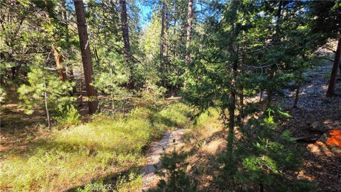 Tiny photo for 25165 Cascade Drive, Idyllwild, CA 92549 (MLS # TR26218506)