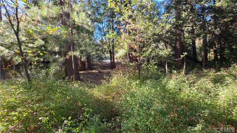 Tiny photo for 25165 Cascade Drive, Idyllwild, CA 92549 (MLS # TR26218506)