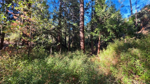 Tiny photo for 25165 Cascade Drive, Idyllwild, CA 92549 (MLS # TR26218506)