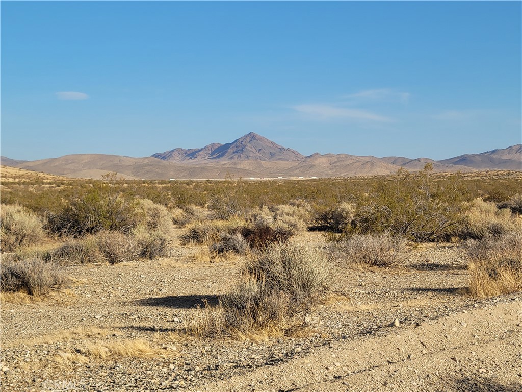 4 Buckboard Road