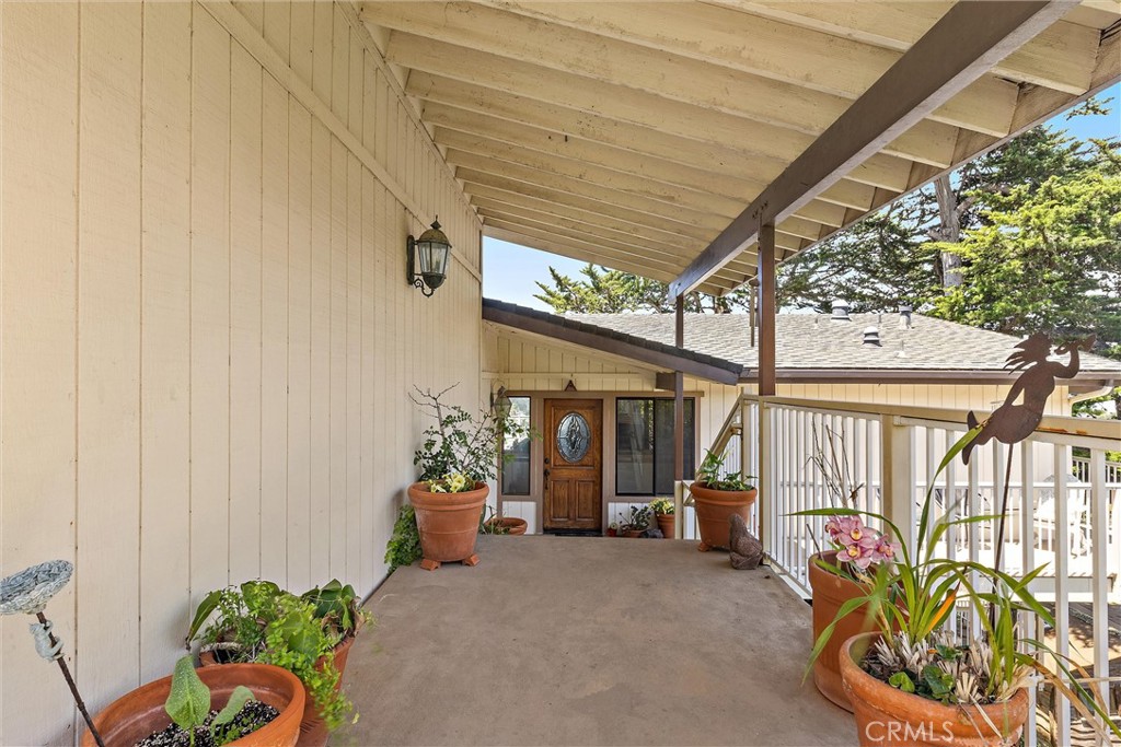 2991 Juniper
