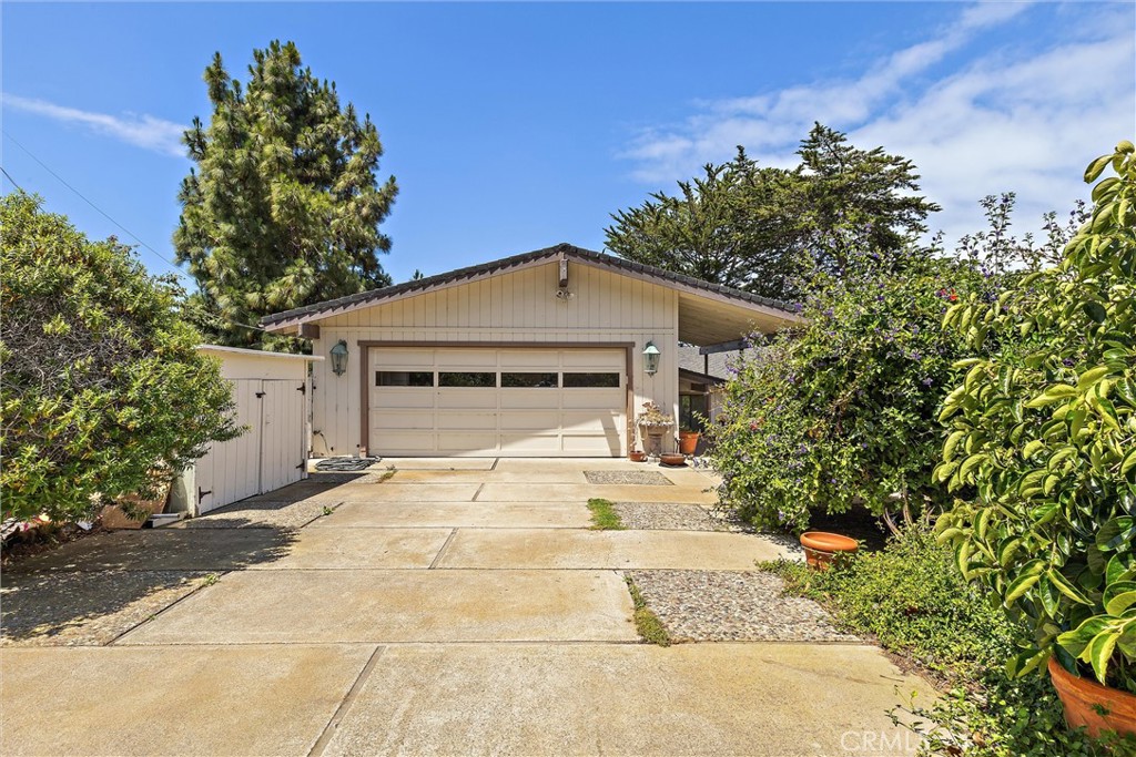 2991 Juniper