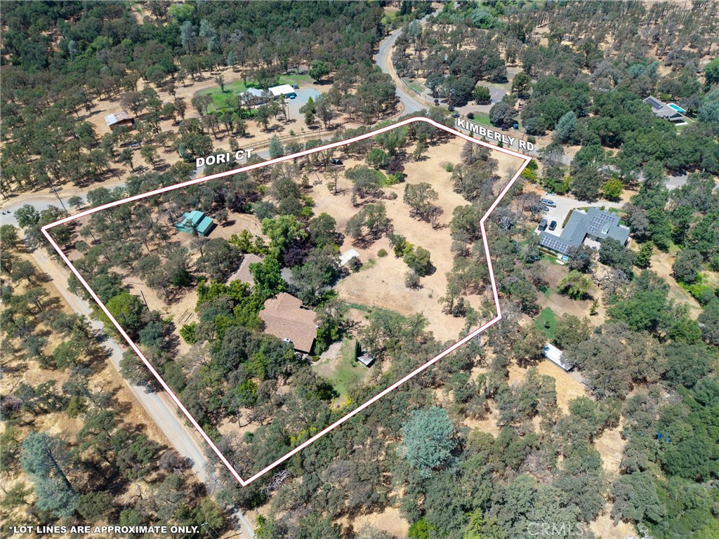 11751 Dori Court