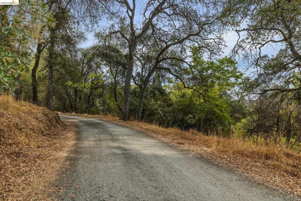 9774 Mormon Creek Rd.