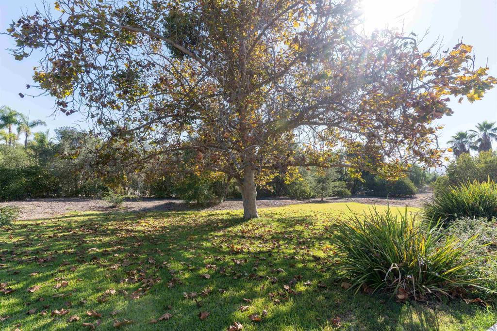 Fallbrook - Residential