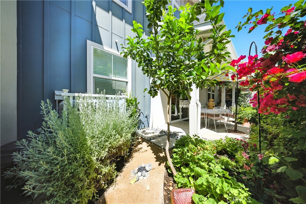 553 Oakville Drive