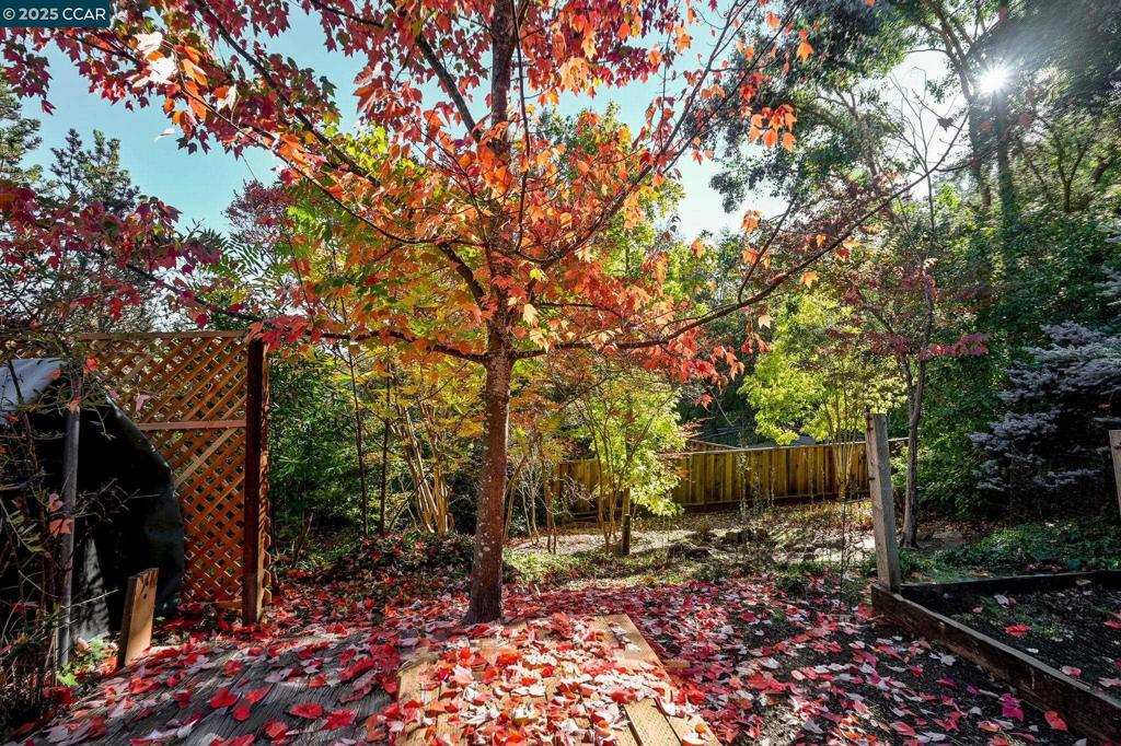 SPRINGHILL - Residential