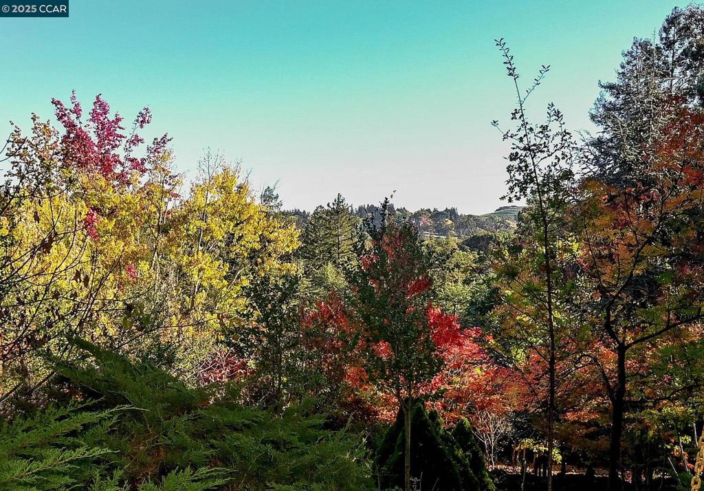 SPRINGHILL - Residential