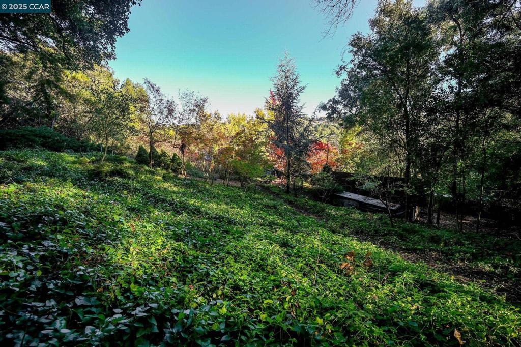 SPRINGHILL - Residential