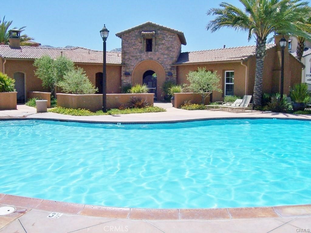 31253 Mangrove Drive