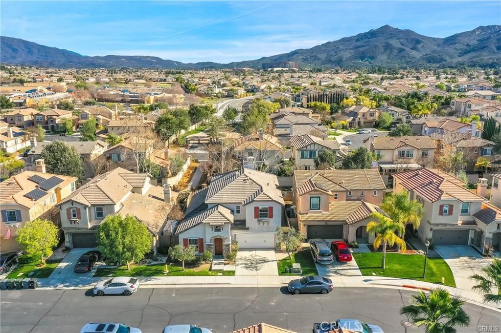 31253 Mangrove Drive