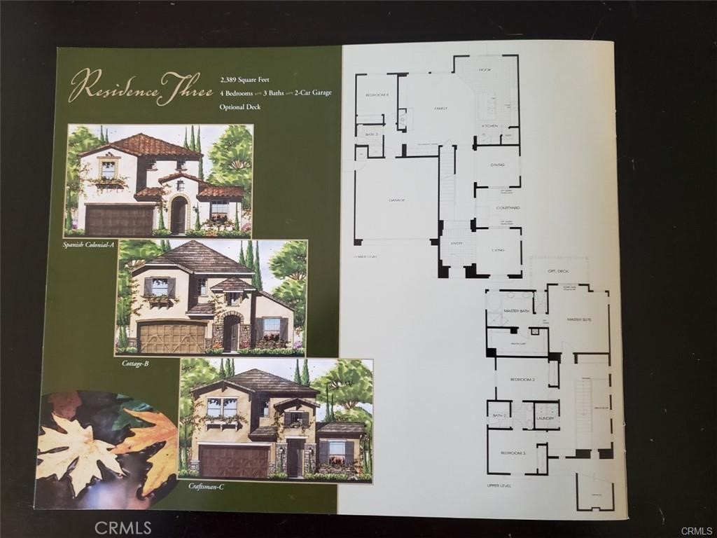 31253 Mangrove Drive