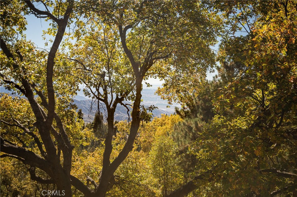 Running Springs (RUSG) - Residential