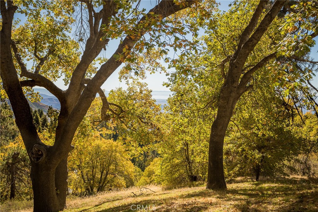 Running Springs (RUSG) - Residential