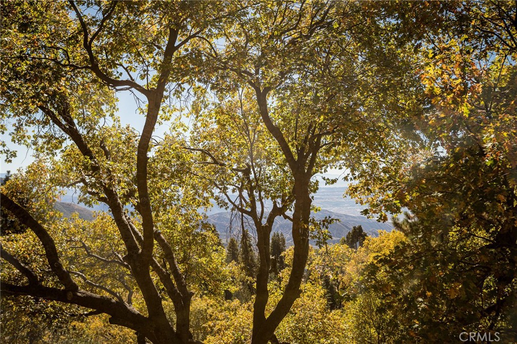 Running Springs (RUSG) - Residential