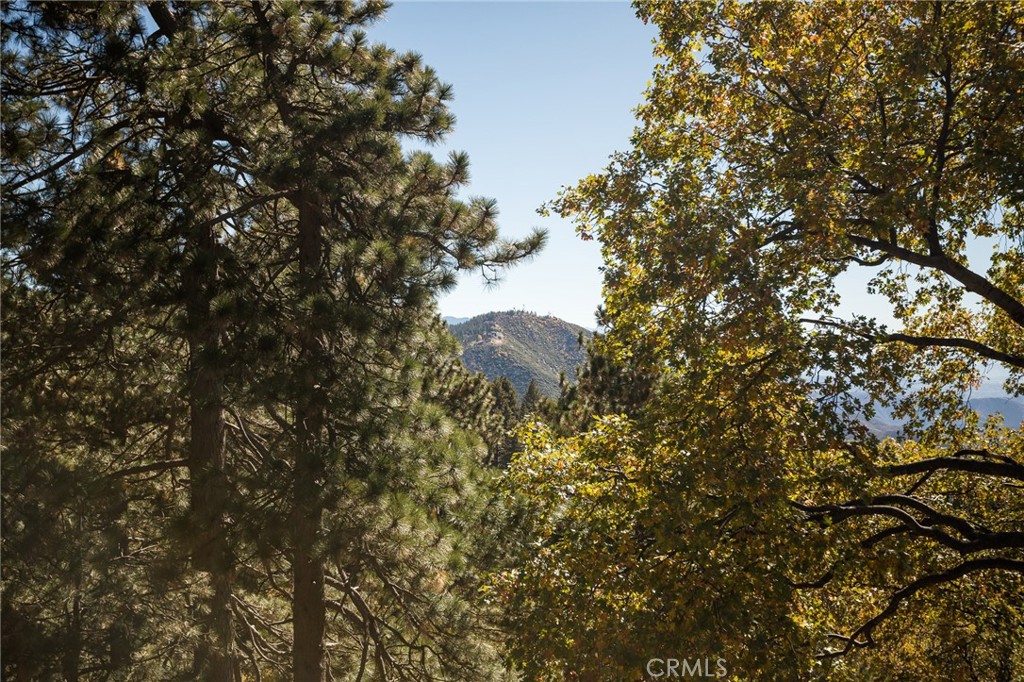 Running Springs (RUSG) - Residential