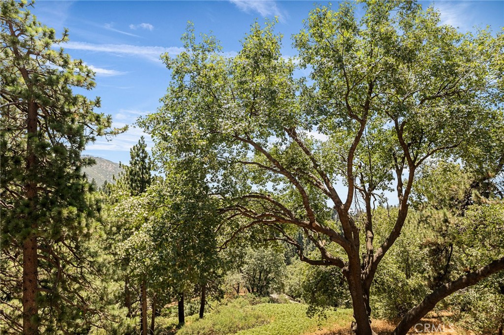 Running Springs (RUSG) - Residential