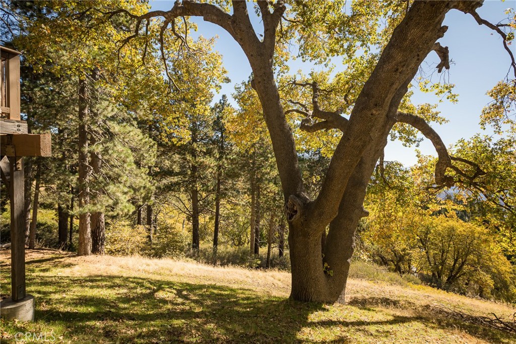 Running Springs (RUSG) - Residential