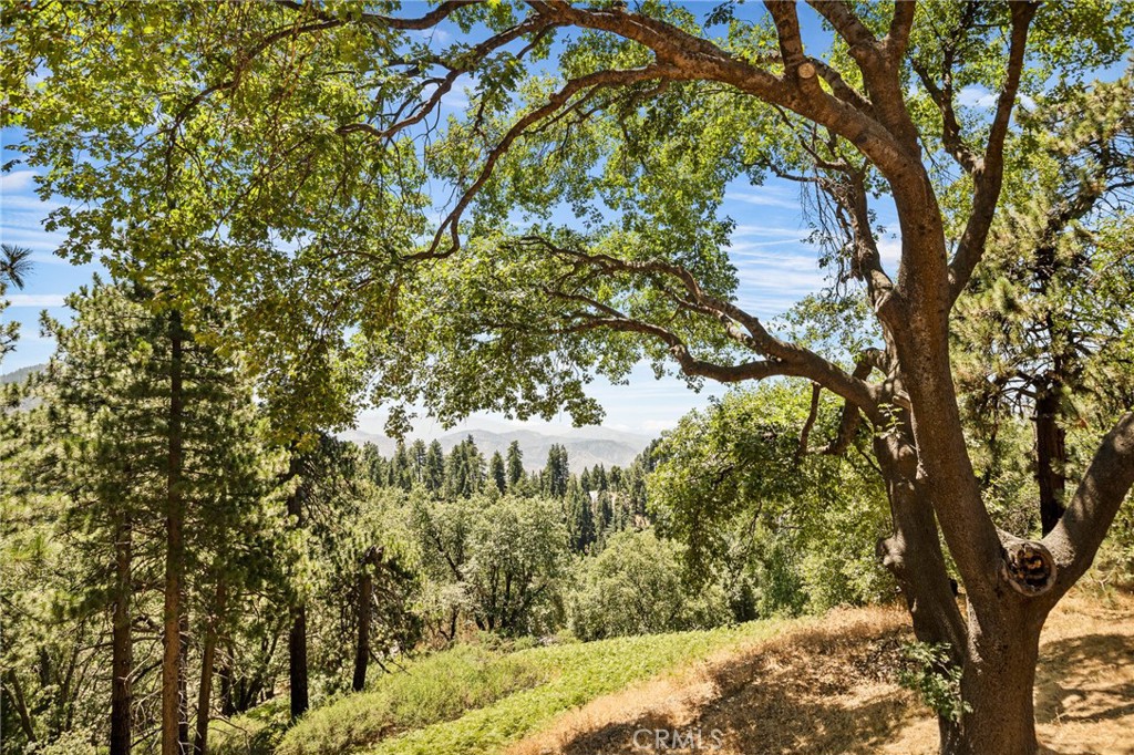 Running Springs (RUSG) - Residential