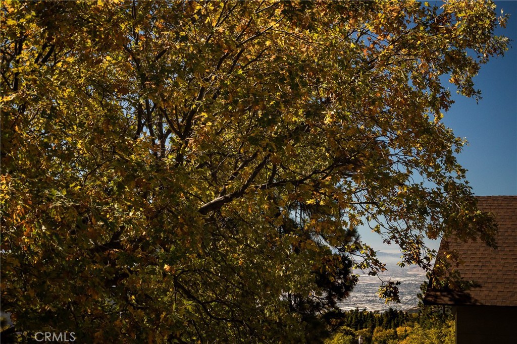 Running Springs (RUSG) - Residential