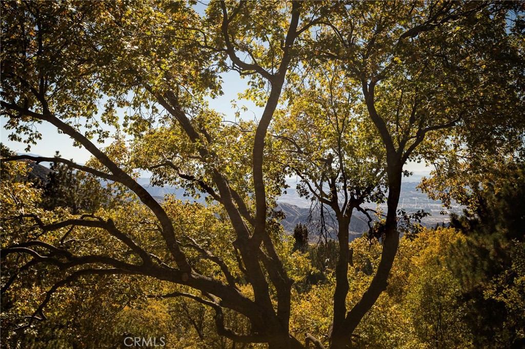 Running Springs (RUSG) - Residential