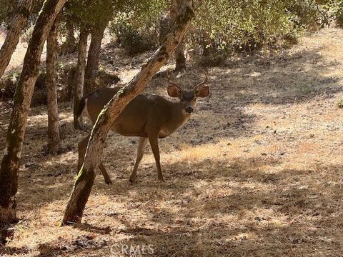 Photo of 10789 Harbor Road, Kelseyville, CA 95451 (MLS # LC25080310)