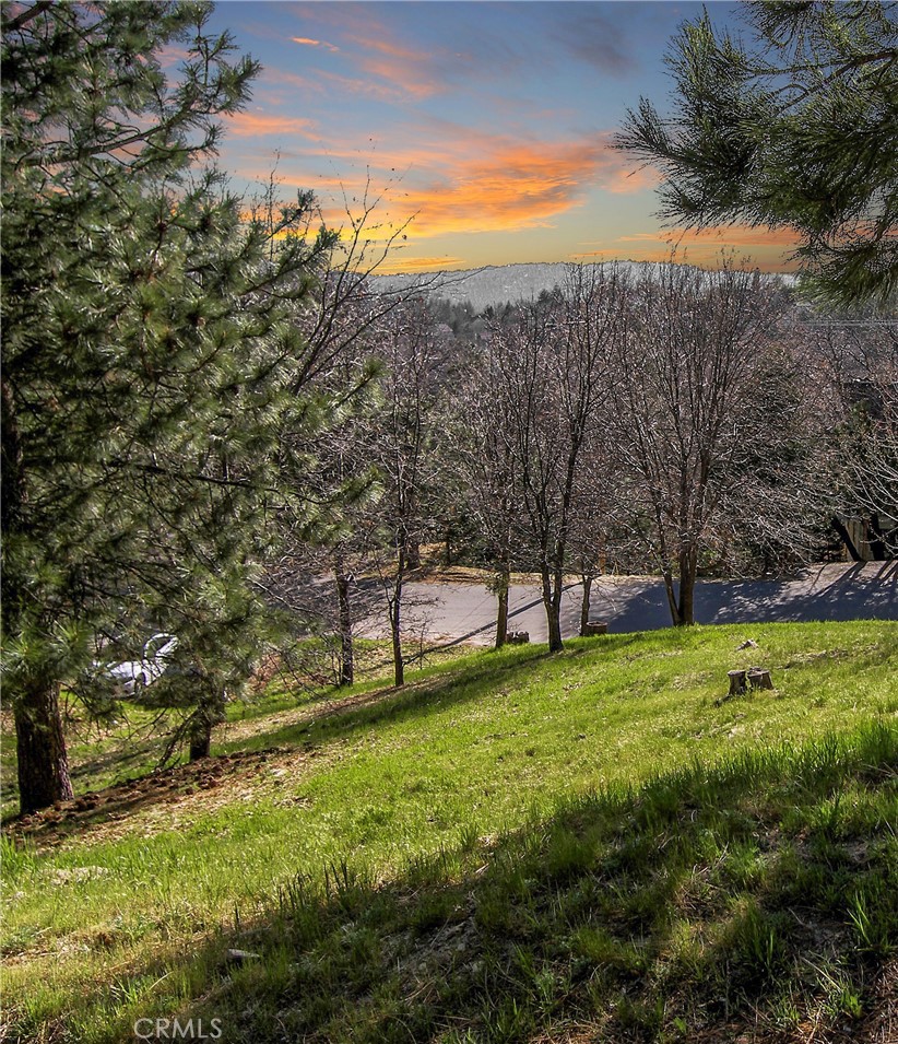 Beautiful Lake Arrowhead Lot with Lake Rights! Positioned between two paved and maintained roads with a gradual upslope from St. Bernard Lane or build on the plowed access road above for level entry. Better yet put a house and garage above and another garage below like the neighbor! Beautiful ridgeline and mountain views on this quiet circle street that borders the National Forest. Just minutes to walk to the National Forest or a five-minute drive to the Lake and Tavern Bay Beach Club! Whether you desire a beautiful mountain retreat for relaxation, quiet and leisure or a mountain adventure-land with snow skiing, water skiing, boating, fishing, off-roading, mountain biking or hiking - Lake Arrowhead is the perfect location! This one won't last long - come on up and make your Lake Arrowhead dream a reality!
