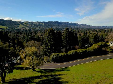 Photo of 336 Merrilee Pl Pl, Danville, CA 94526 (MLS # 41119907)