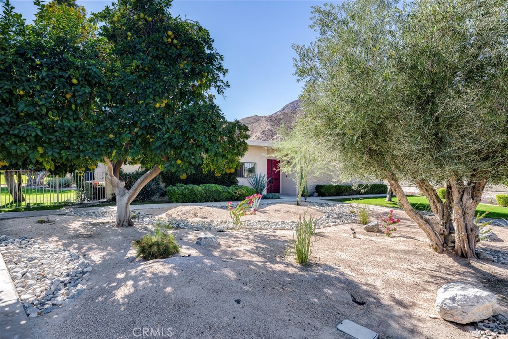 Sandpiper Palm Desert (32333) - Residential