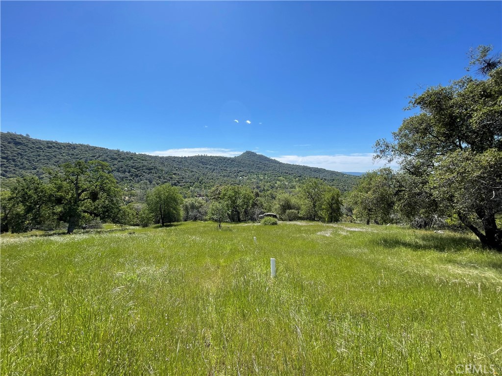 Check out this private and build-ready lot with gorgeous mountain views in Mariposa! This 5.03 acre lot features infrastructure that puts you several
steps closer to you mountain top home being complete, including an excellent well (60 GPM when drilled!) with a 2500 gallon storage tank connected
to it, electricity already on site, RV hookups, partially finished septic system, and a secluded hilltop building site to take in some incredible views of
the foothill scenery. The property is accessed via a private road that is regularly maintained, and a private driveway shared by only one other
neighbor, so there won't be much traffic passing through the area! In the winter and spring months, you'll hear the waters of the nearby Chowchilla
River roaring through the neighborhood, adding to the tranquil ambiance. It is easy to imagine your new home or manufactured home sitting atop the picturesque surroundings that this property is nestled in. Come take a look and fall in love with this build-ready mountain retreat!