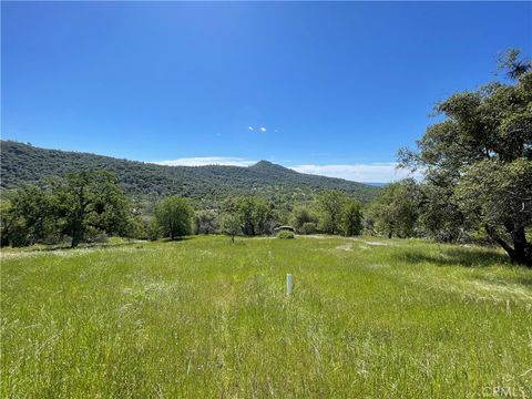 Photo of 3116 River Haven Drive, Mariposa, CA 95338 (MLS # MP25096218)