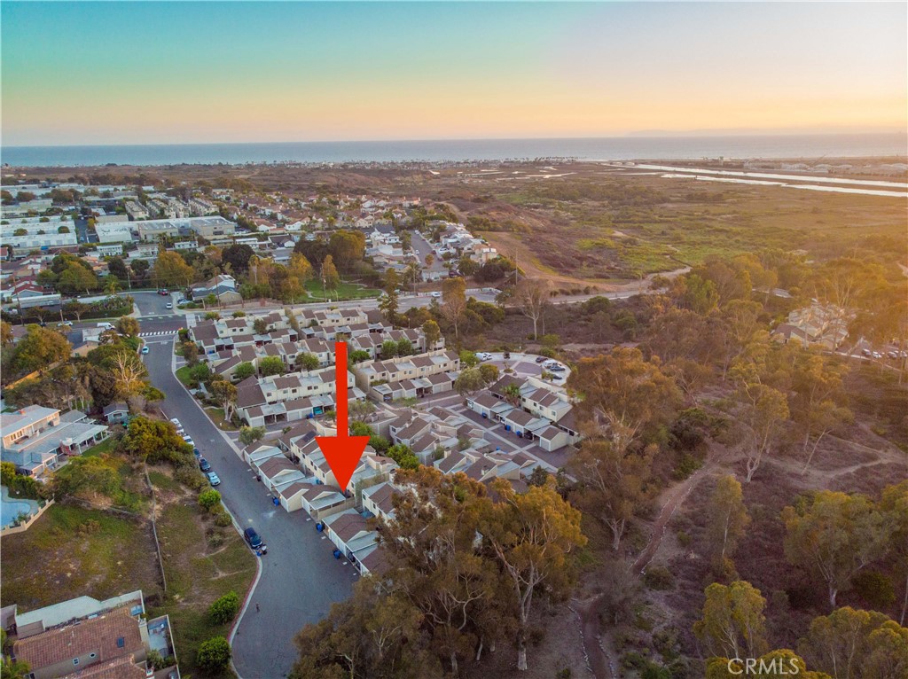 Newport Terrace (NEWT) - Residential