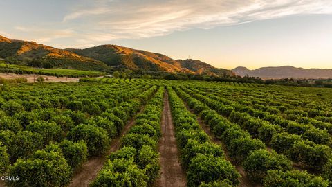 Photo of 0 Goodenough Rd Street, Fillmore, CA 93015 (MLS # V1-34754)