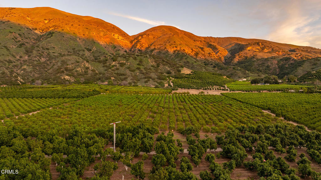 Properties 3 0 Goodenough Rd Street